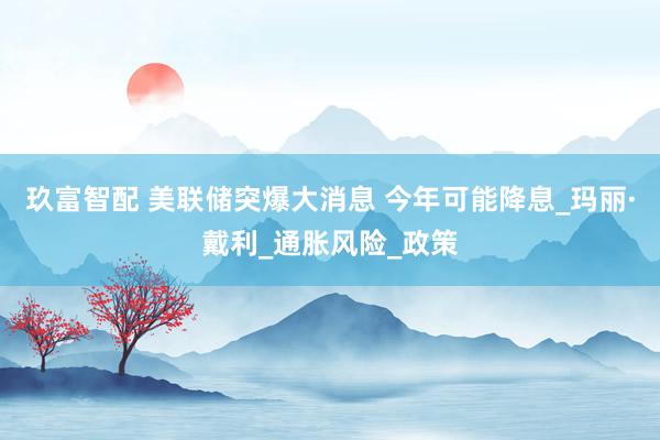 玖富智配 美联储突爆大消息 今年可能降息_玛丽·戴利_通胀风险_政策