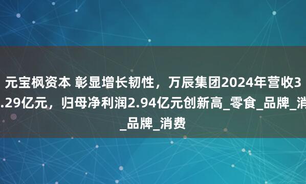 元宝枫资本 彰显增长韧性，万辰集团2024年营收323.29亿元，归母净利润2.94亿元创新高_零食_品牌_消费