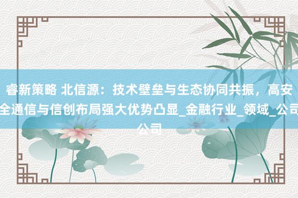 睿新策略 北信源：技术壁垒与生态协同共振，高安全通信与信创布局强大优势凸显_金融行业_领域_公司