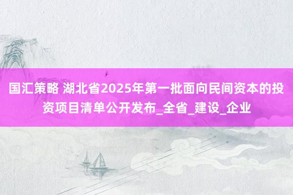 国汇策略 湖北省2025年第一批面向民间资本的投资项目清单公开发布_全省_建设_企业