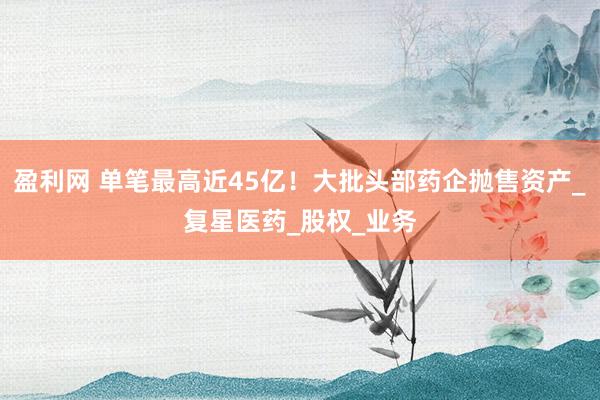 盈利网 单笔最高近45亿！大批头部药企抛售资产_复星医药_股权_业务