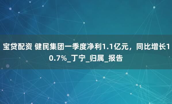 宝贷配资 健民集团一季度净利1.1亿元，同比增长10.7%_丁宁_归属_报告