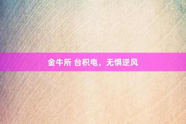 金牛所 台积电，无惧逆风