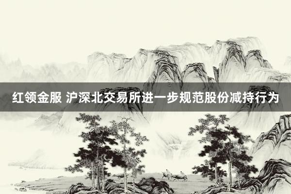 红领金服 沪深北交易所进一步规范股份减持行为