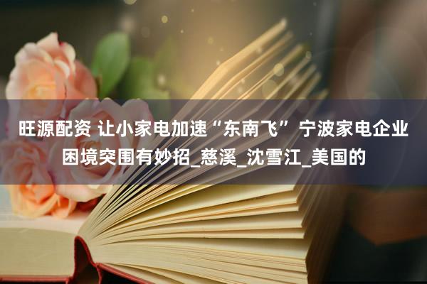 旺源配资 让小家电加速“东南飞” 宁波家电企业困境突围有妙招_慈溪_沈雪江_美国的