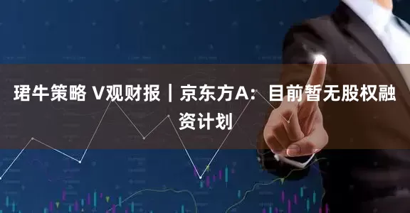 珺牛策略 V观财报｜京东方A：目前暂无股权融资计划